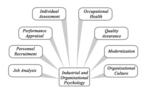 Capella University Organizational Chart