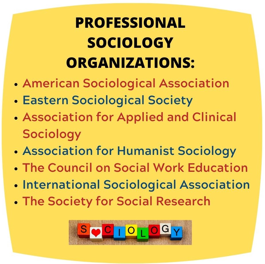 phd sociology online programs